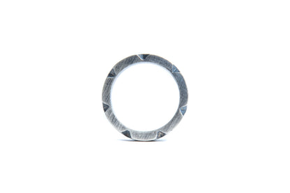 El anillo del tigre